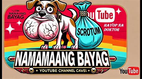 pinayflix aso|Ang Babae Parang Aso Din Pag Namamaga at Namumula .
